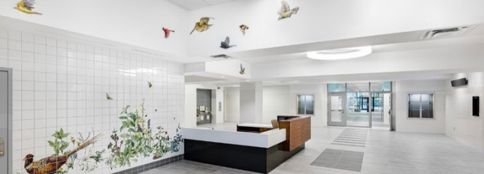 The new lobby of PS 97 Brooklyn with Joan Linder's work Birds, Bugs and Beasts installed. 