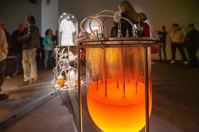 Zoom image: &quot;Labor,&quot; by Paul Vanouse, UB art professor and director of the Coalesce Center for Biological Art, uses bacteria to manufacture the smell of human exertion. Photo: Douglas Levere 