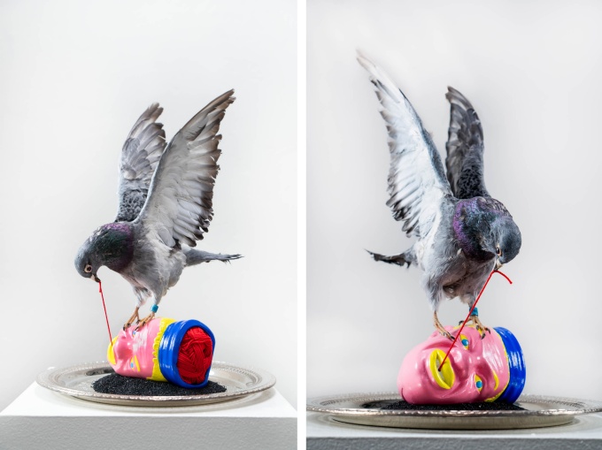 Photograph of the sculpture: "The Art of Story Telling", 2022 Taxidermy racing pigeon, altered antiqued thread dispenser, thread, serving platter, turf rubber crumb 3ft H x 1.5ft W x 1.5ft D Aaron Coleman, courtesy of the artist. 
