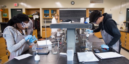 Undergraduate chemistry majors in the lab. 