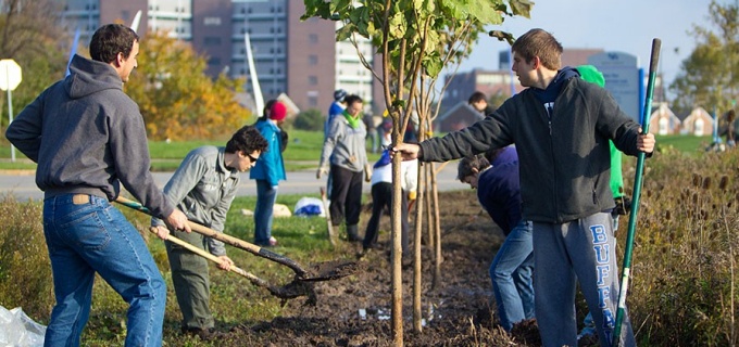 Students planting trees along on North Campus. 