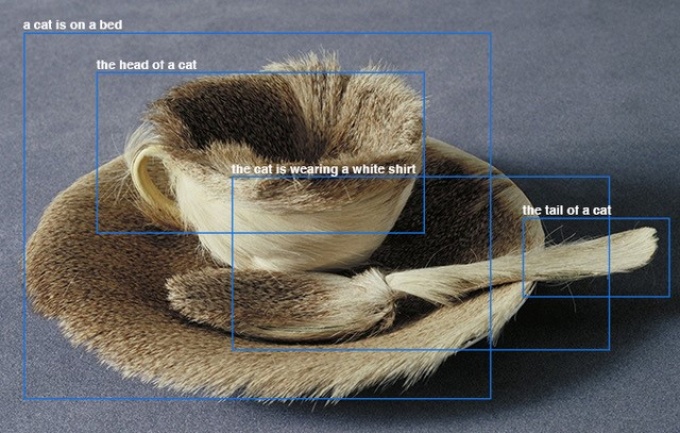 demonstration of image-recognition software; shows inanimate objects made of fur with parts labeled as: "a cat is on a bed," "the head of a cat," the cat is wearing a white shirt" and "the tail of a cat.". 