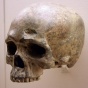 Homo sapien skull, 68,00 years old; taken at the David H. Koch Hall of Human Origins at the Smithsonian Natural History Museum. 