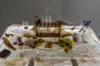 Emerging Practices and BioArt