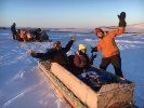 Professor Elizabeth Thomas and PhD student Devon Gorbey from UB along with postdoc Greg de Wet from the University of Colorado on an Inuit sled called a qamatiq at Clyde River, Nunavut in Arctic Canada, on Baffin Island. Photo Credit: Professor Jason Briner
