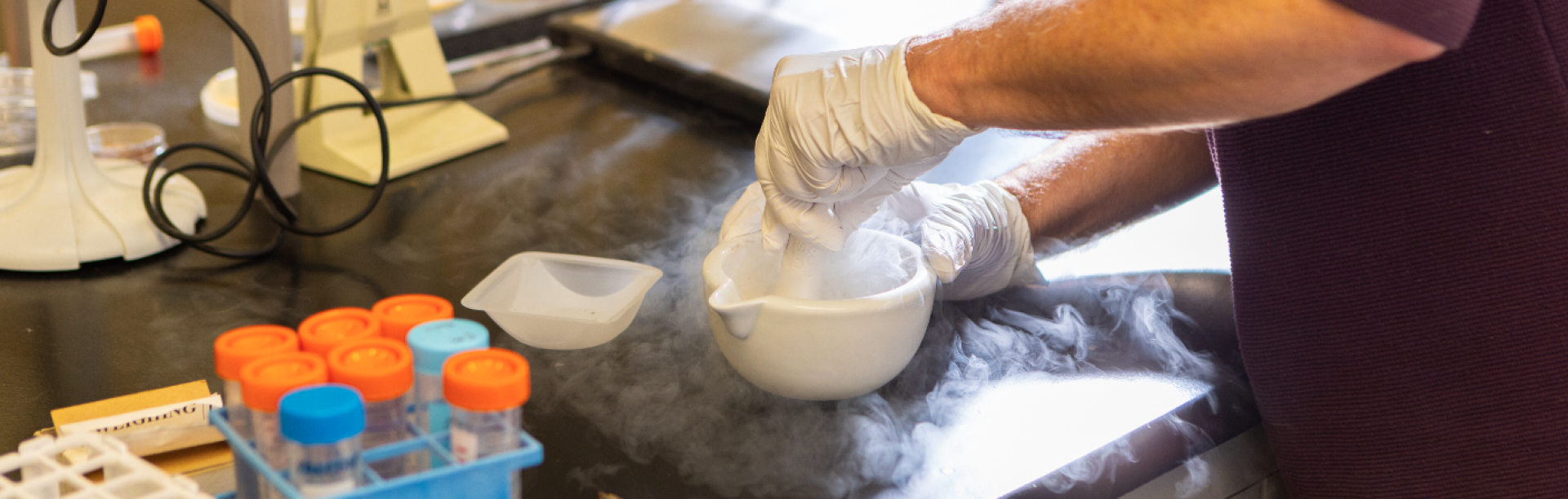 Students and faculty work to extract lichen DNA in the Coalesce: Center for Biological Art lab. 