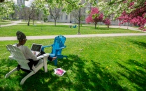 A student works outside on a laptop. 