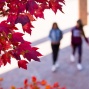 Two students walking on campus in the fall. 