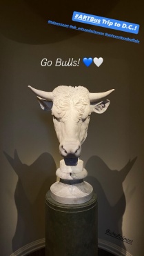 Bull skull in a glass case, with text caption "Go Bulls". 
