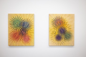 Zoom image: &quot;Phosphenes I &amp; II,&quot; Gum bichromate process on stretched canvas, 30¼ h x 24¼ w x 1 d inches. 