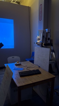 Joel Brenden, "Maybe Have I Never", participatory performance at Trimania Reboot, Buffalo Arts Studio, March 29, 2025, depicting a projector shining royal blue light on a wall behind a table with a keyboard and blue paper with printed white collaged text on it. 