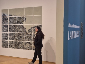 Zoom image: Artist Marjan&nbsp;Khorramgolkaran in front of "The Last Wave", 2026 