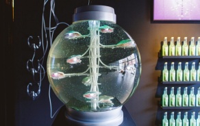 A glass sphere filled with water, wires, and small oyster-shell-shaped sculptures, in a dark room, with hanging wires and a shelving unit of illuminated yellow bottles in the background. 