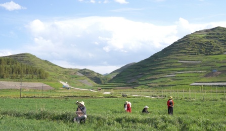 Green hills and fields with three workers and a musician in foreground. 
