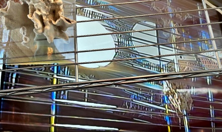 Zoom image: Ontogeny Recapitulates Cosmology (detail), 2025 Various materials (audio / video feedback loop on wire shelving) 72" x 36"'x18 