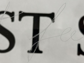 Zoom image: Detail of K. MacNeil's &quot;Witness My Shame&quot;,  Silkscreened print inside wooden shadow box, with etched plexiglas. 24&quot; x 48&quot;. 