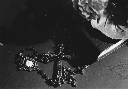 Zoom image: Victoria Holland 