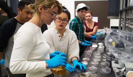 Students with petri dishes of yellow liquid. 