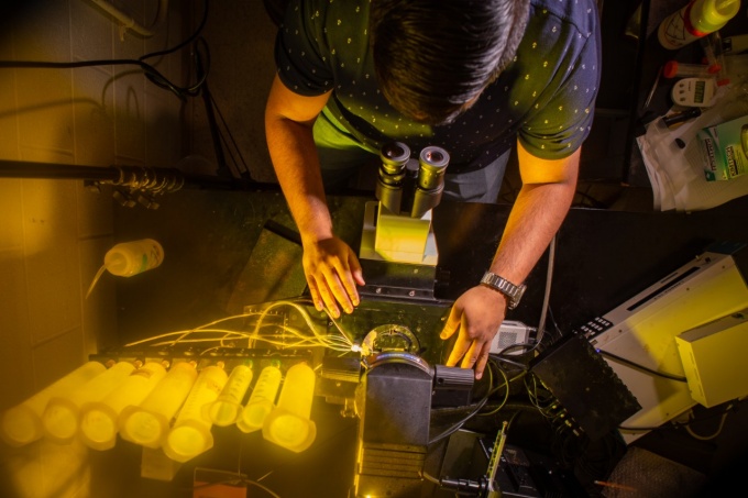 Application to the Bio major.