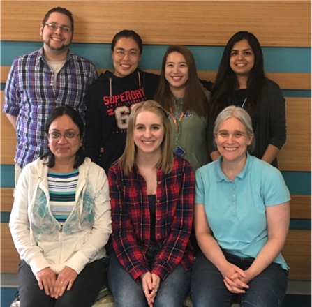 Zoom image: Rusche Lab, Group Photo 2019, (left to right) Back row: Chris Rupert, Guolei Zhao, Tianyi Zhou, Haniam Maria. Front row: Shivali Kapoor, Lynn Sidor, and Laura Rusche. 