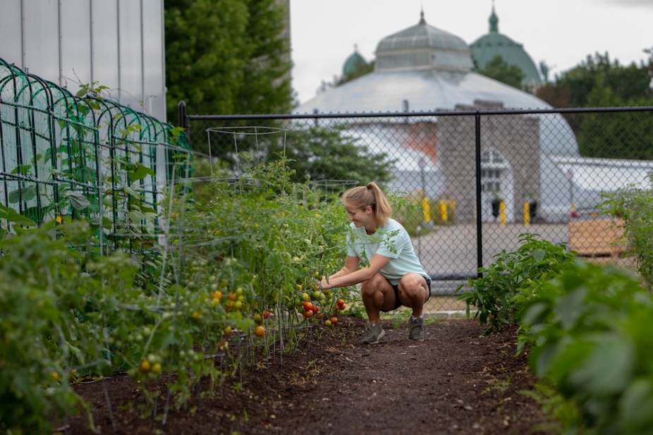 Experiential Learning Photographer: Douglas Levere.