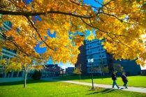 North Campus in Fall Photographer: Douglas Levere. 