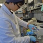 Our MS program provides a foundation in biological research for students who have not had previous research experience. Students build on foundational coursework to complete a research project under the guidance of a faculty mentor. 