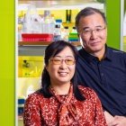 Soo-Kyung Lee, PhD, and Jae W. Lee, PhD, University at Buffalo Department of Biological Sciences. Credit: Douglas Levere / University at Buffalo. 