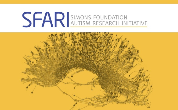 $1.5 million grant has been awarded to University at Buffalo researcher Soo-Kyung Lee to study the rare neurodevelopmental disorder FOXG1 Syndrome. Lee, Empire Innovation Professor and Om P. Bahl Endowed Professor in the Department of Biological Sciences, received the award from the Simons Foundation Autism Research Initiative on March 23. 