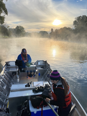 Zoom image: Gazing through the Mist: Surveying for Invasive Species; Award-winning photograph by Sarah Lu Chang, Copyright 2024. 