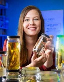 Corey Krabbenhoft holds a fish sample inside her lab at UB. Her research found that fish diversity in arid regions of the U.S. and Australia dropped amid reduced water availability over the past four decades. Photo: Douglas Levere. 