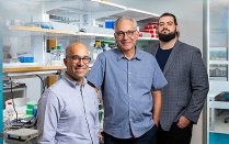 Omer Gokcumen, Stefan Ruhl and Petar Pajic. Gokcumen. 