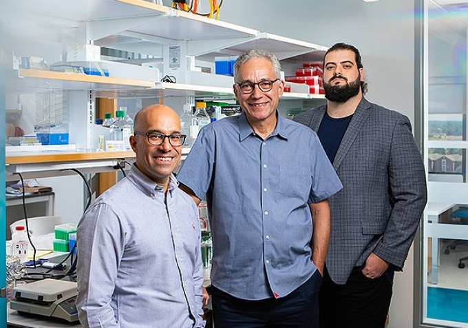 Omer Gokcumen, Stefan Ruhl and Petar Pajic. Gokcumen.