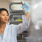 Zhen Wang holds a flask containing a strain of E. coli that doesn’t endanger human health. Wang and colleagues have shown that genetically engineered E. coli can convert glucose into a class of fatty acids, which can then be transformed into hydrocarbons called olefins. Photo: Douglas Levere. 