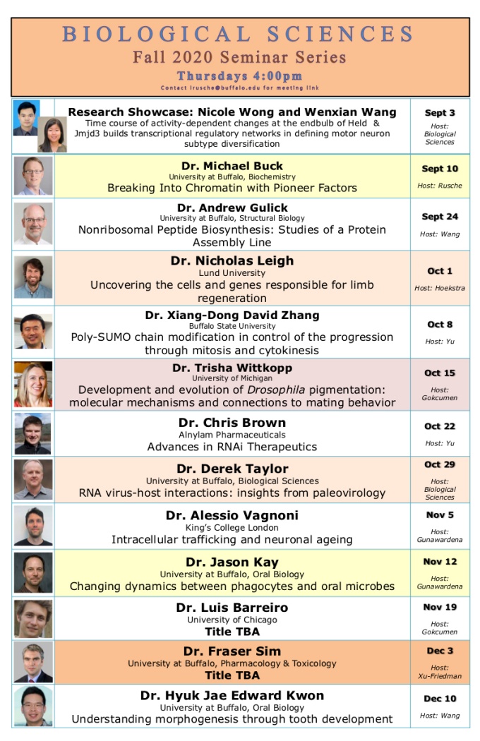 Zoom image: Fall 2020 Seminar Series 