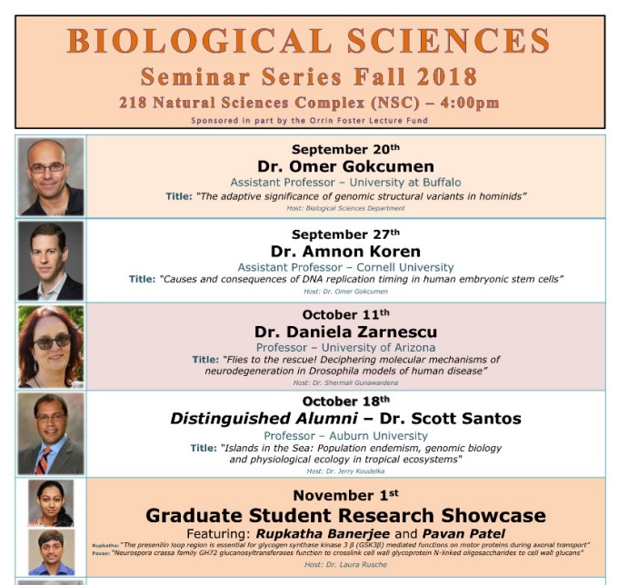 Zoom image: Poster: Seminar Series Fall 2018