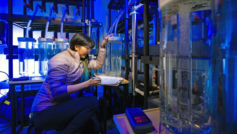Zoom image: Pictured: Biologist documents microscopic characteristics of fish eggs. Photographer: Douglas Levere 