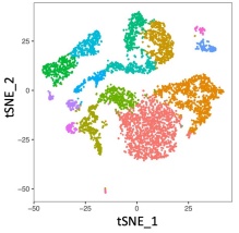 Zoom image: Related image for single cell RNA-seq, courtesy of Jae Lee, 2021. 