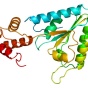Our faculty win grants. Image courtesy of NSF https://commons.wikimedia.org/wiki/File:Protein_NSF_PDB_1d2n.png. 