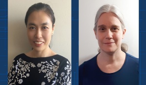 In a study published on May 5 in the journal mSphere, University at Buffalo biologists Guolei Zhao and Laura Rusche report that a protein called Sir2 may facilitate C. albicans’ transition from ovoid yeast to thread-like hypha. C. albicans cells that were missing the Sir2 gene were less likely to form true hyphae in lab experiments than cells of the same species that had that gene. 