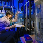 Biologist documents microscopic characteristics of fish eggs. Photographer: Douglas Levere. 