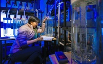 Biologist documents microscopic characteristics of fish eggs. Photographer: Douglas Levere. 