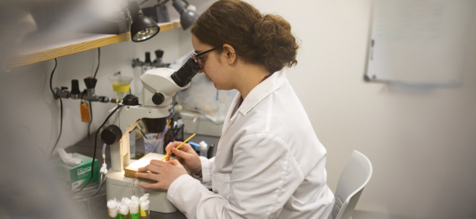 A researcher in a white lab coat examines a specimen under a microscope at a laboratory bench, holding a pencil and working carefully with small tools and samples arranged nearby. 