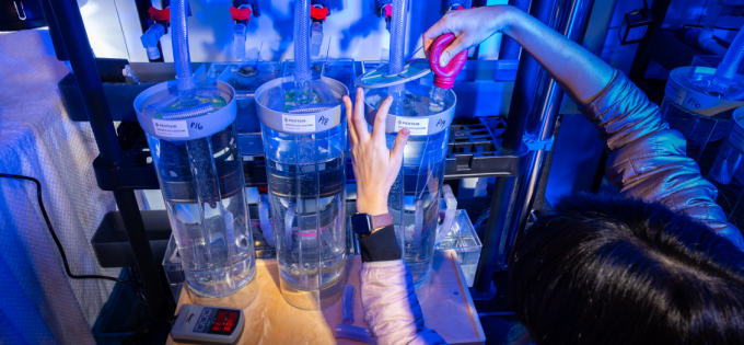 A student researcher works at a biology lab bench, adjusting clear cylindrical water tanks connected by tubing while conducting research on fish eggs using AI-assisted analysis. 