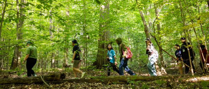 A group of students and an instructor walk single file through a wooded forest, participating in an outdoor learning activity among trees and dense green foliage. 