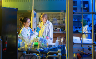 A medicinal chemistry major works in the lab of UB Distinguished Professor Janet Morrow.