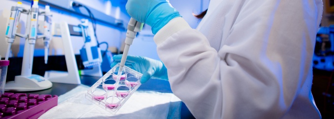 PhD student Darleny Lizardo. 