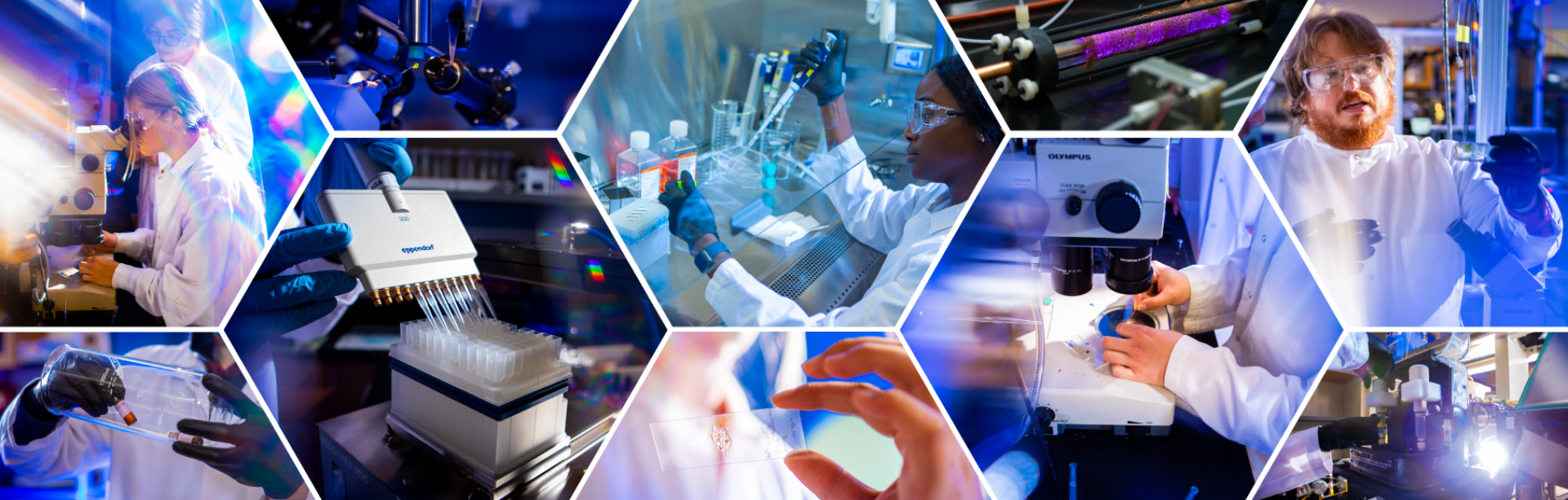 Gallery of students in lab environments. 