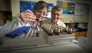 Two people working in a chemistry laboratory. 