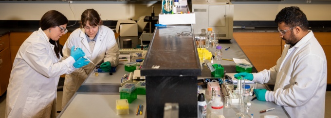 Students working in the Natural Sciences Complex. 